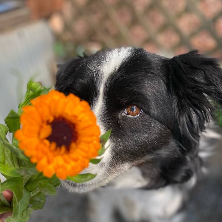 07848d1e bc74 4ff8 9318 179fb6e0bbca 1620265652227