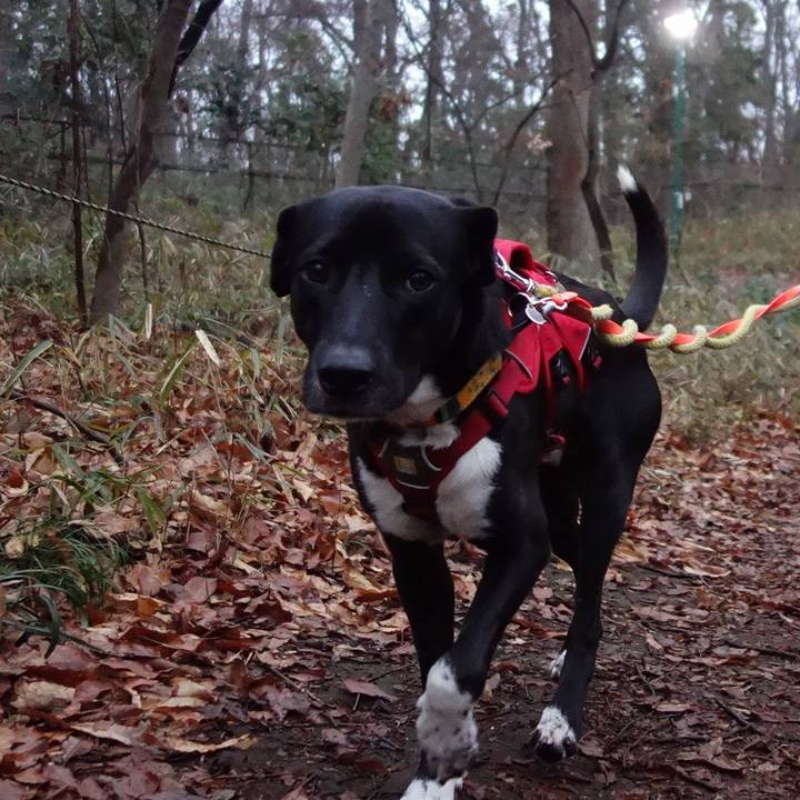 0784beac c496 4f85 87e4 ded909bc9d41 1583798902305