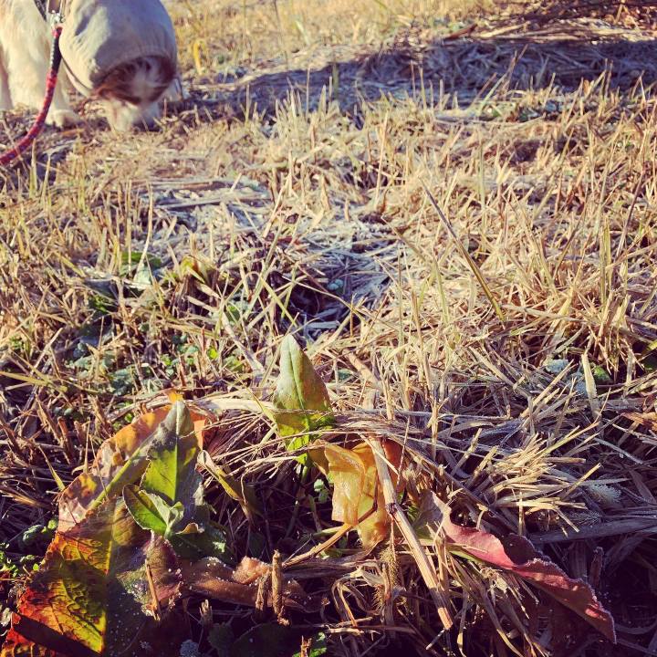 0784f436 fe76 4384 af12 ead8896d6e9e 1578702730880