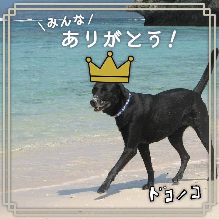 07852927 af05 42fd ad8d ba3665fd72a3 1622868731768