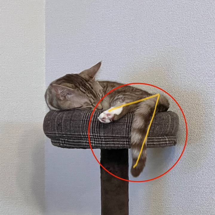 07854ac1 da49 4e88 8506 530ecb9de304 1686488518017