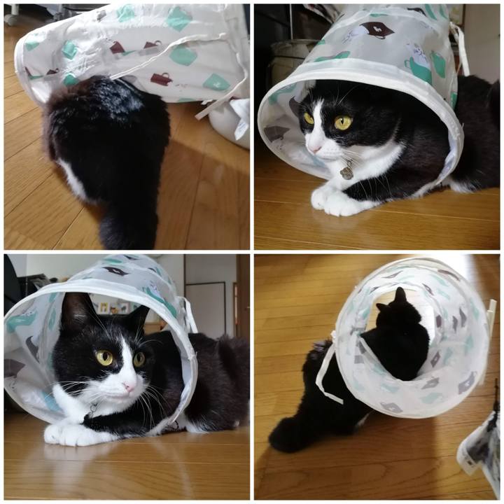 07856c72 4abf 4097 8ab0 31cc59c8c33a 1594211785853