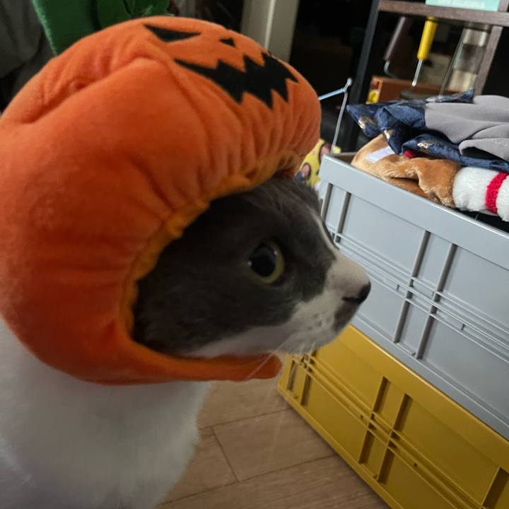 0785818a 2204 4fc9 9745 715237c9b431 1751615547636