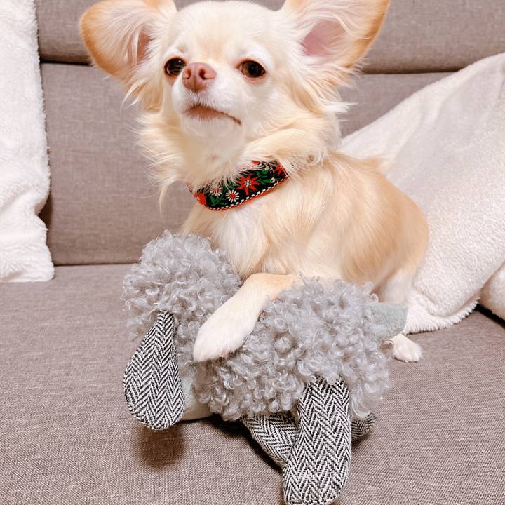 07859340 e4c9 469f a6c0 e6e260b6ba3e 1670314924567