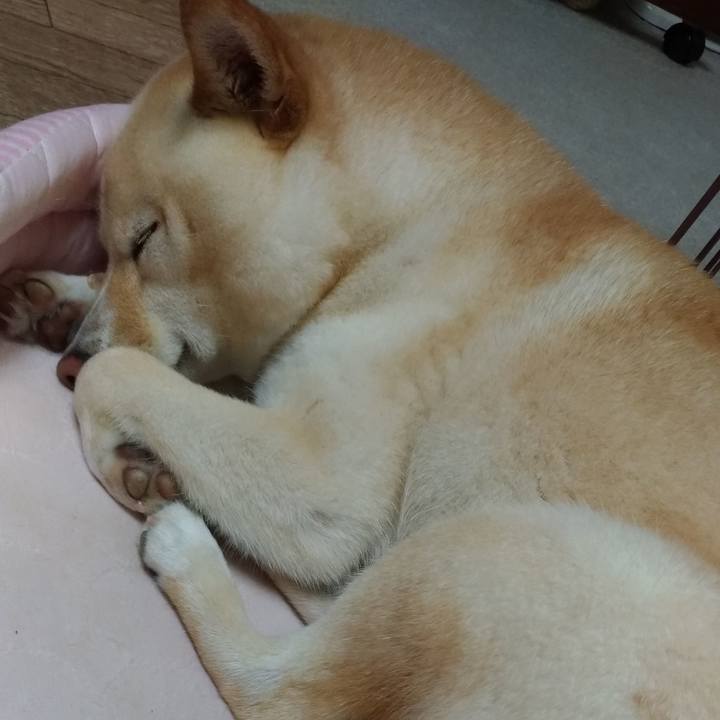 0785af46 882f 48ed a7bb 8ec708e240d3 1594638307561