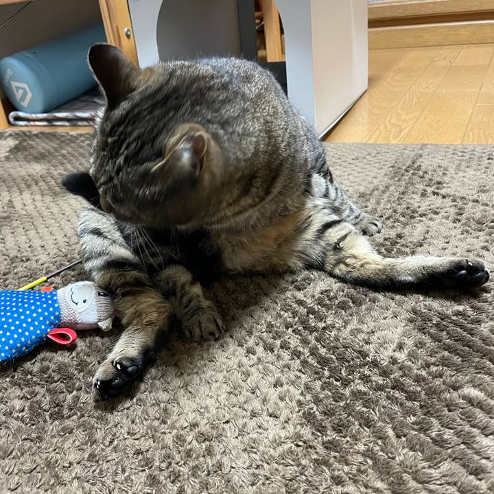 0785bed8 5669 4a24 9902 1f8b8ba91541 1618312631011