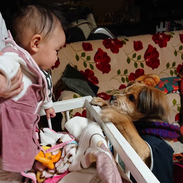 0785c484 9f0c 48ae 9f85 798579500078 1549885353158