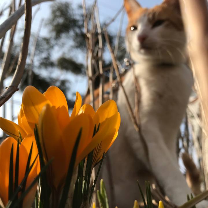 0785d2d8 9a6d 47c9 b281 b626d4e90320 1520921174653