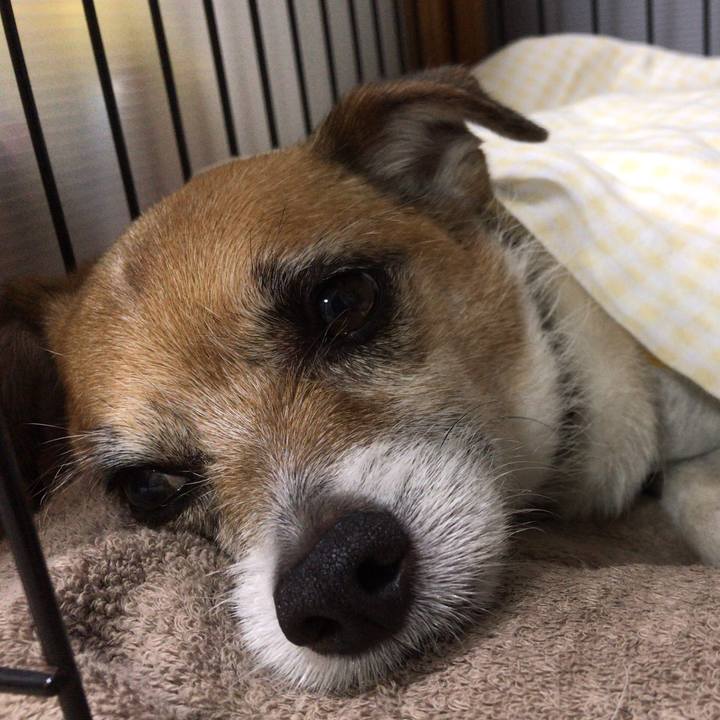 0785fa23 a79b 498a 9c14 b91aae57209f 1559480435913