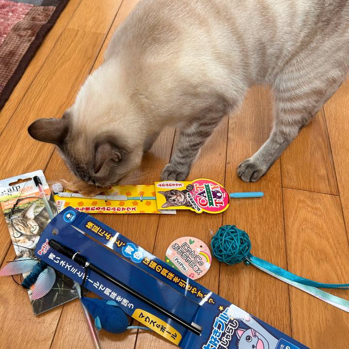 0786076e b0c4 4fe7 821e cd1d53ebace6 1764138321849