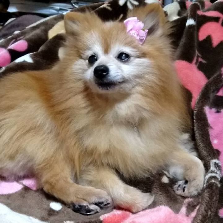 0786102a 500d 4a82 92ce 39270ecb4d63 1582755226790