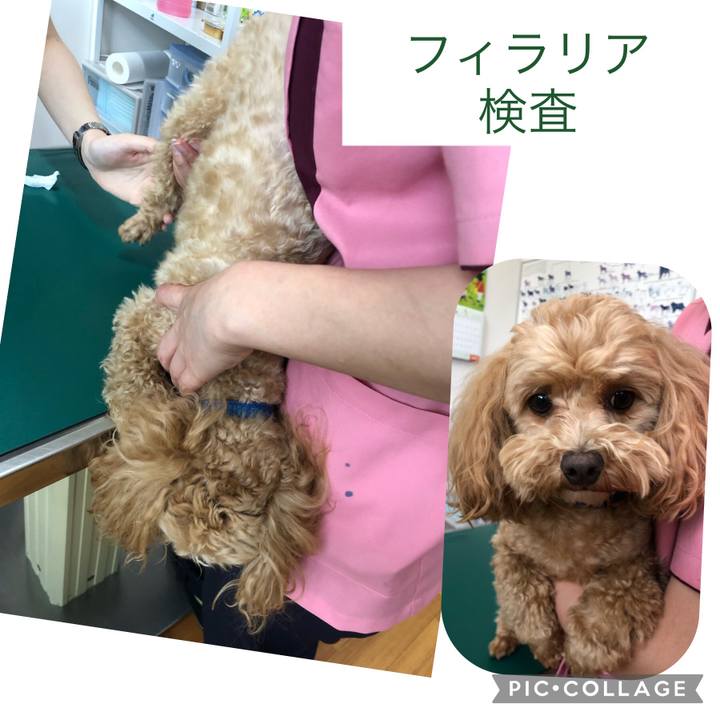 07869b5b b074 4c40 a1d6 e37047491c23 1651913790034