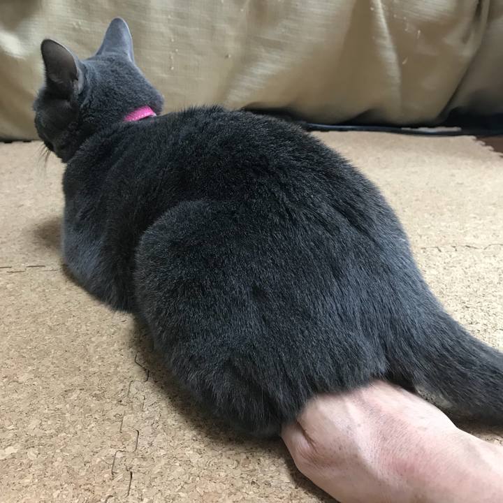 0786ca41 5c6d 4943 bfc1 fa6498f5a5bb 1525329585488