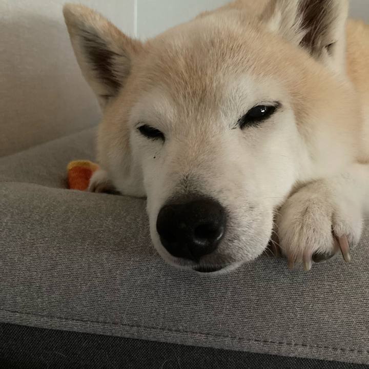 0787472a 4102 4dbd 8eaa 400377e017c2 1730647056211