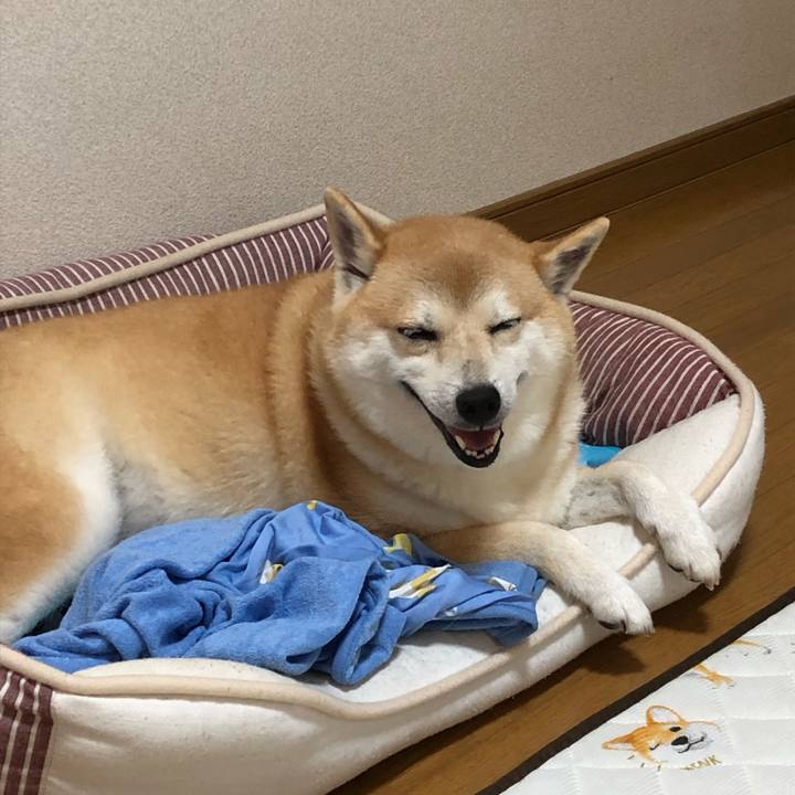 078786aa 4aa2 4b88 97f8 9854ce0aad44 1567510075473