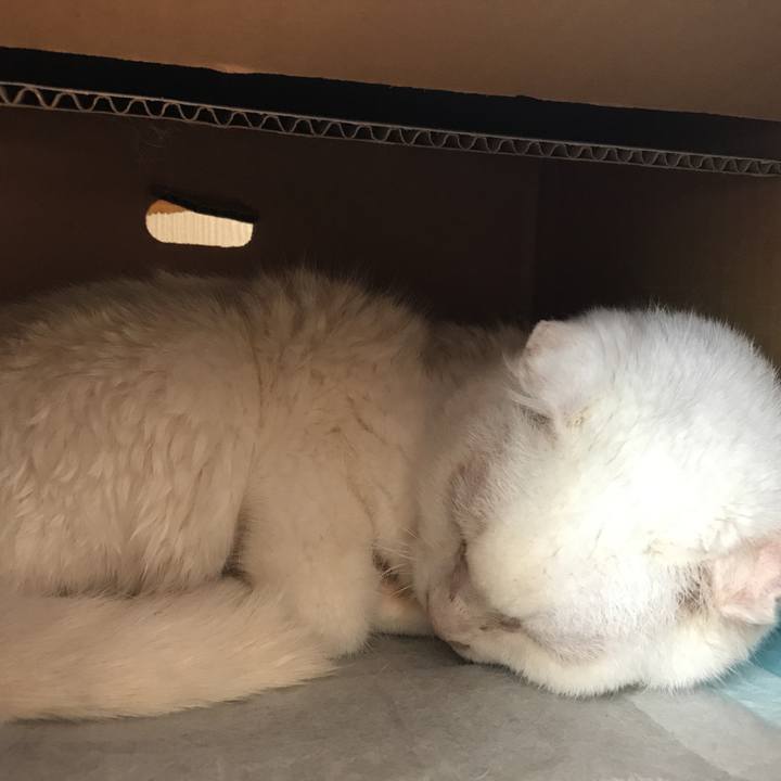 078789c1 d388 4f63 9b76 69bbfa94cd81 1560405857121