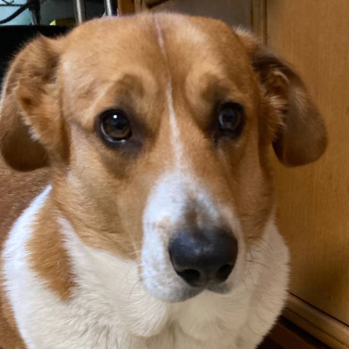 0787bced b402 4a6d beb8 3735087efafe 1676285914877