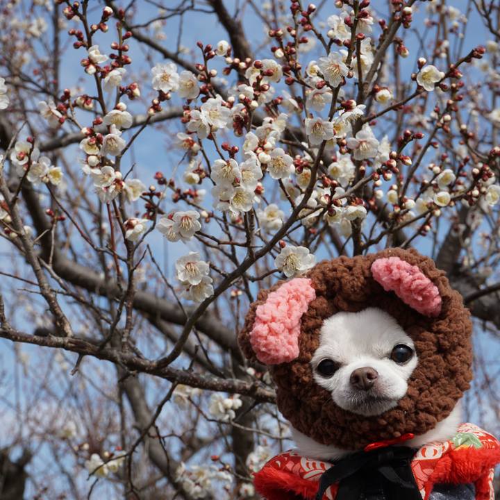 0787d3d1 5fa9 46d2 b194 c4b8fab75701 1549891771687