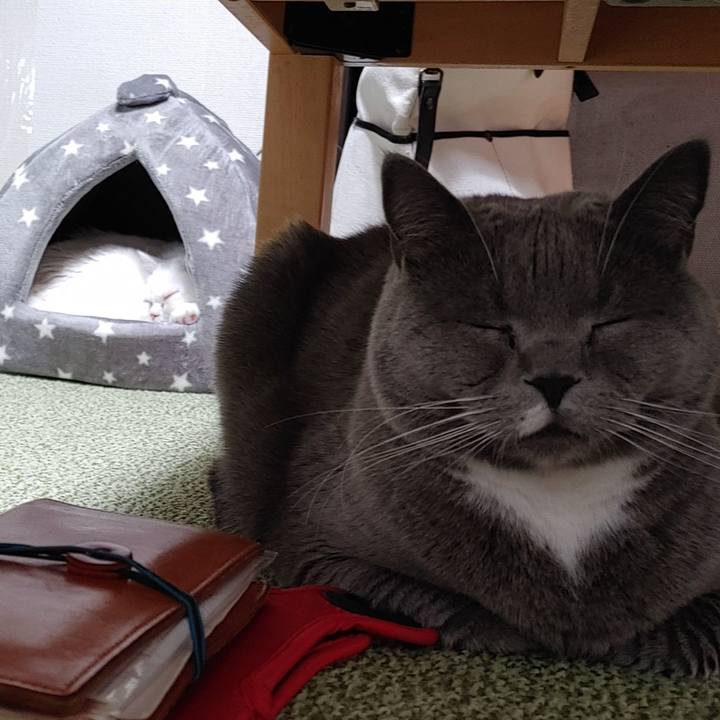 0787e44b 1dcf 48ba 985f 741fee9cf2b3 1642340320931