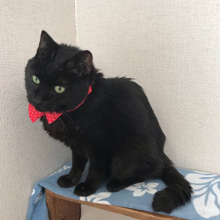 078835a6 5117 4108 82b8 8c671e978a66 1553301825500