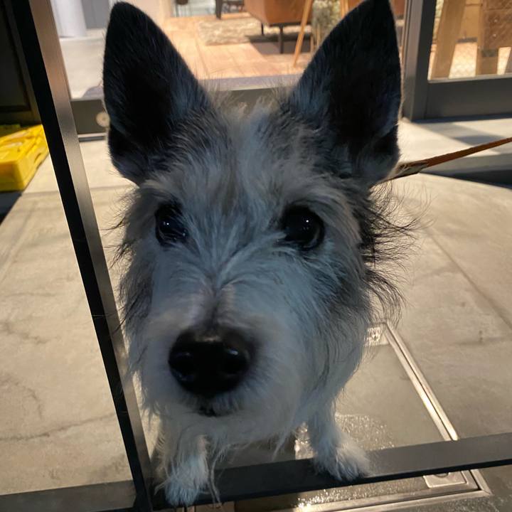 07883929 5e57 45ff 952a 8d02e82ad030 1617893126857