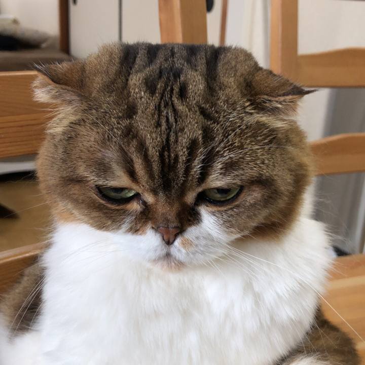 07888222 07aa 4a39 83c2 a08a2dcaaf9b 1536975460655