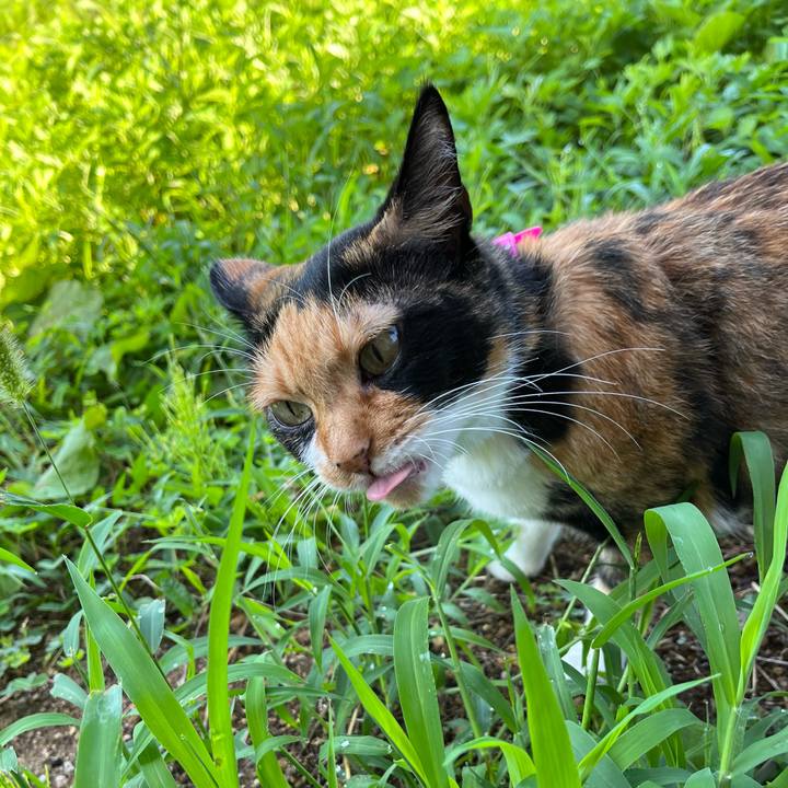 0788d748 04fd 4069 a6f5 cd657f7ee8f5 1662424385206