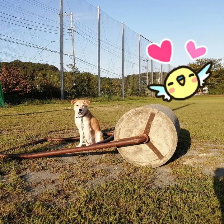 0788ebd9 d6b1 4c1c 9e2b 55aae9ae36ff 1570606426840