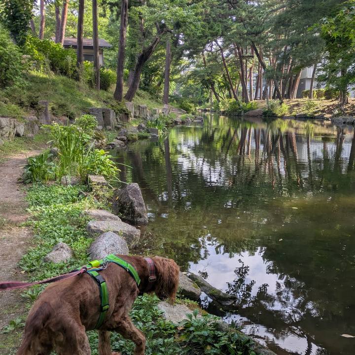 07891110 3250 4334 973f 910a330e8e98 1755777399051