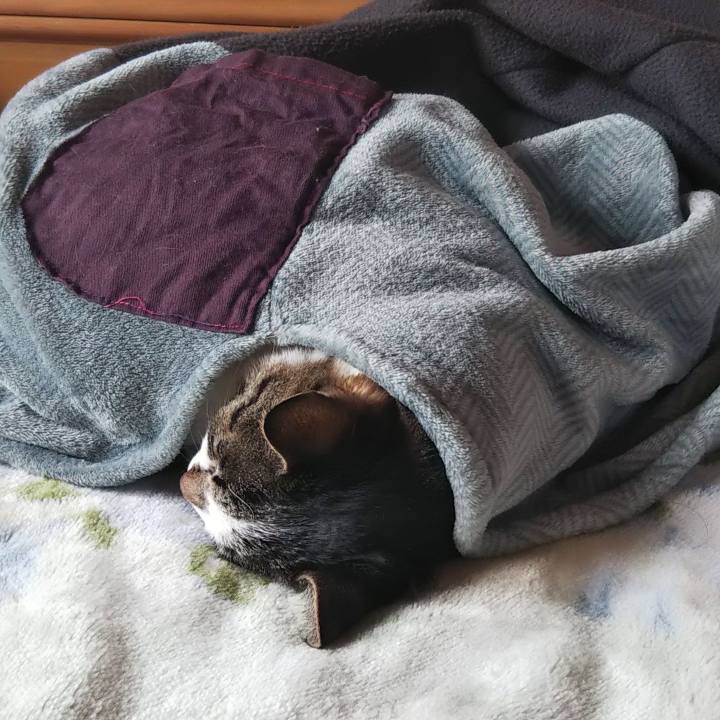 07893261 8819 40d5 a3ef 6fcce77550e8 1602154174428