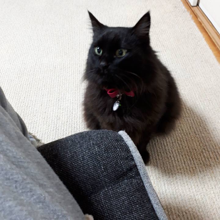 07894438 6f8a 476a 8557 a230f59b1e54 1519337971736