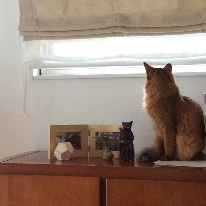 0789500b 2c6a 4c25 ba6e 84cb528de80e 1595308485183