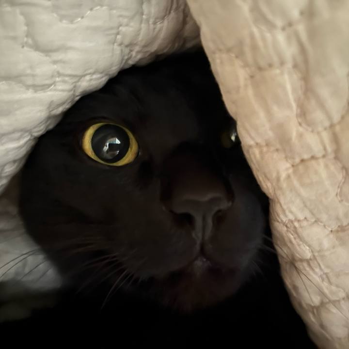 07897191 06c7 4b6b 972c b4763cfd330c 1674173945666