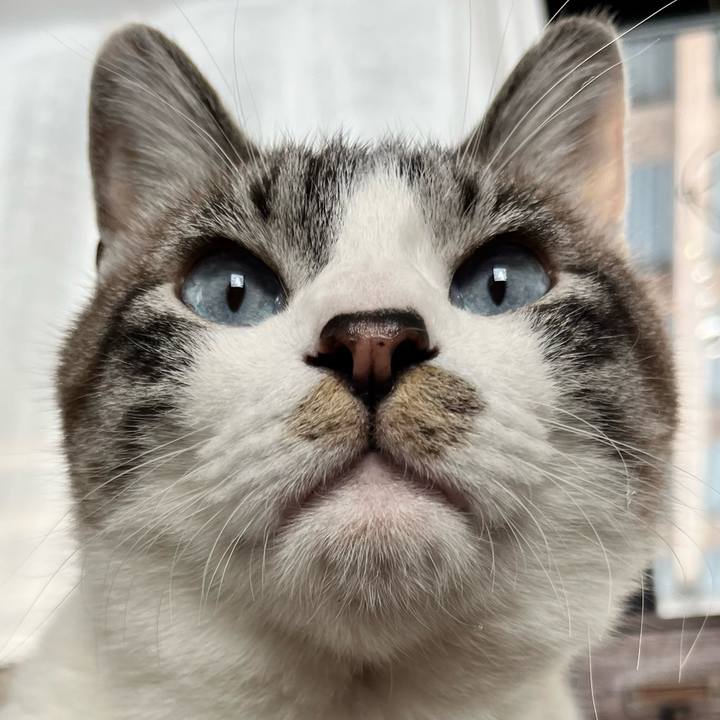 0789c827 8291 4d25 85ad 786e14d785d8 1770979476609