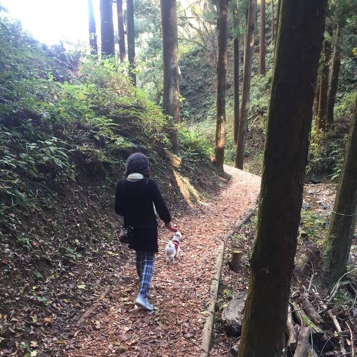 078a0885 c3ac 4202 a531 a6840c6202d5 1511263149722