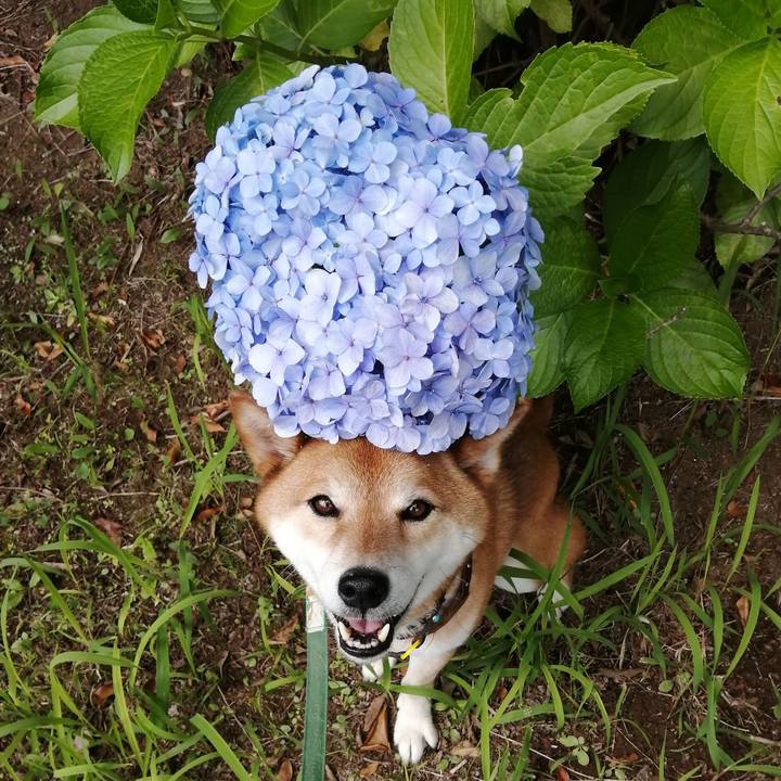 078a7e43 0caa 4aa4 8e8d b9b5db3c8d6b 1624668034115