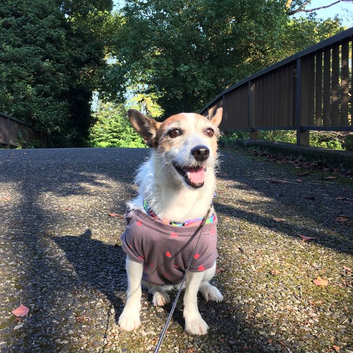 078abcdc 8c06 4361 b677 0e2903d4ba94 1633390440789