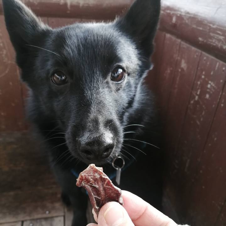 078ac105 beb3 4dbd b559 4310bcfbdb51 1640737462318