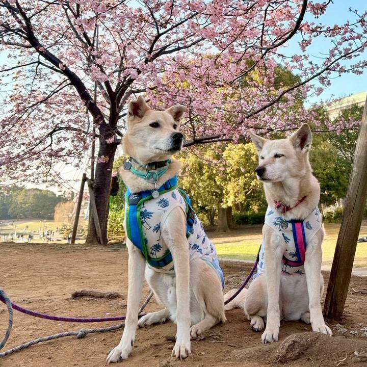 078b3aa8 a74b 404c a6e9 880fb335dd79 1771685686088