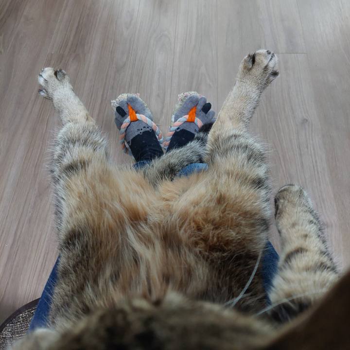 078b84bb 0110 4d8b 9f08 2fa4a015989f 1731710681673