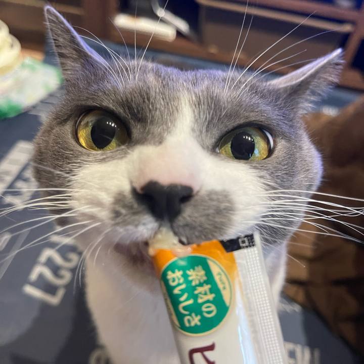 078baf5e 16e9 4707 80ba 67e739b85725 1703576138765