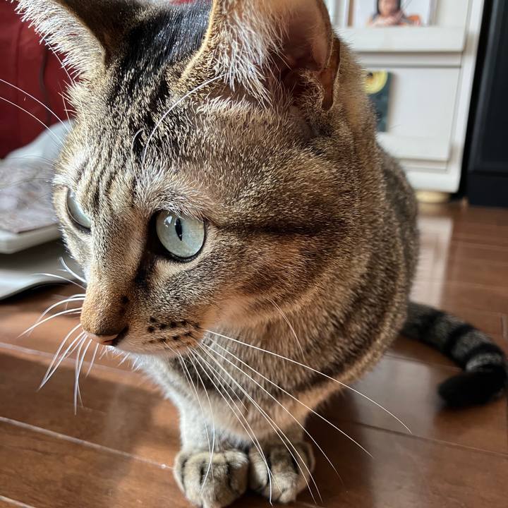 078bb4f6 4923 4d23 bb1b 93ceafde7fe7 1767829473504