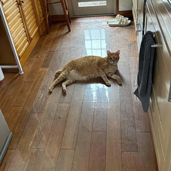 078bda86 fda1 4049 ba4a 1d685da1f0f3 1688693599693