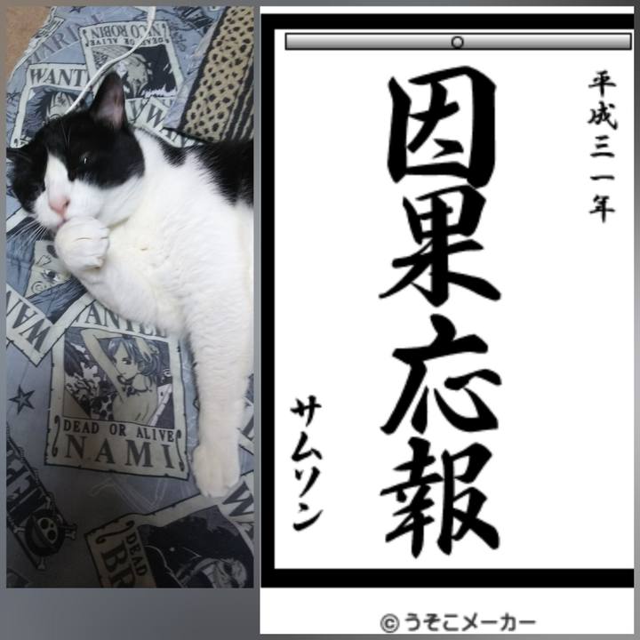 078bdbec 4e8e 485a 911a aa998665670f 1546398530183