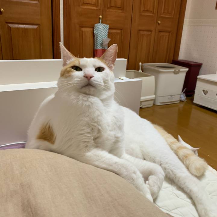 078c490f 25cc 4559 8f93 8d08b44f34d0 1650833320831