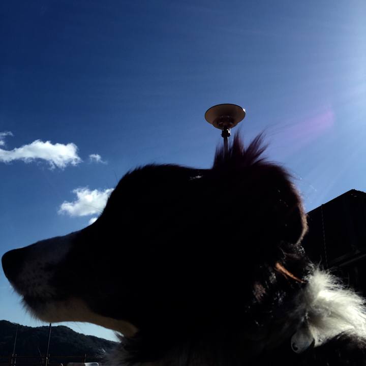 078c6322 dddd 4bce 8d0d 3bc409f1940a 1548038119580