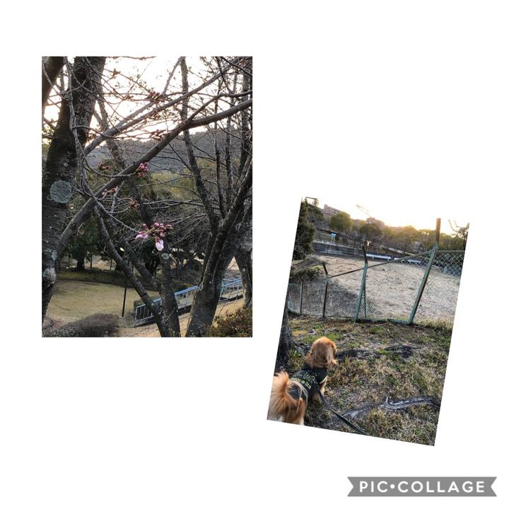 078c7b6d 4c6b 4e04 a109 0b54929bd698 1553462856118