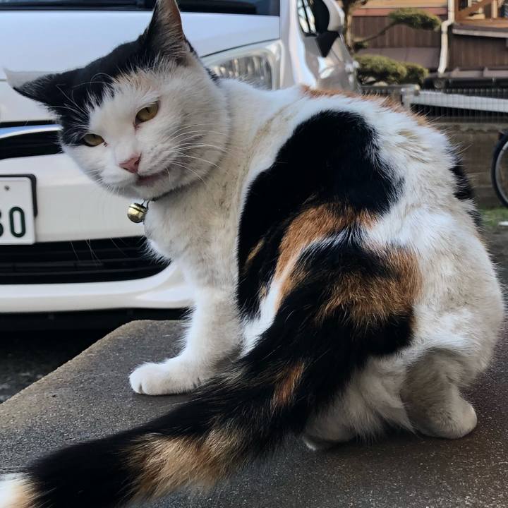 078c7e43 9ace 4a54 8d2e 0bcab2a49a44 1612350931134