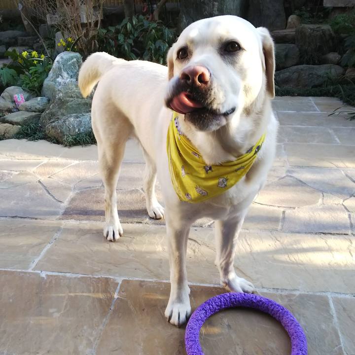 078caf1a 85eb 4339 86e5 9f1553e90283 1550475436419