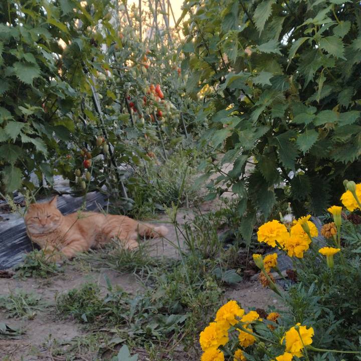 078cd015 68fa 45da b79c be80643b5020 1692781605983